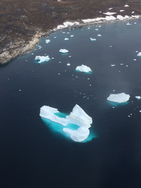 Iceberg view from plane.JPG