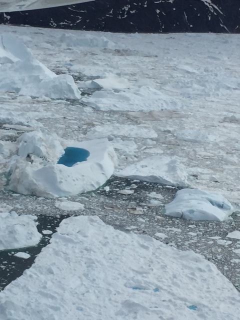 Iceberg Views from Plane.JPG