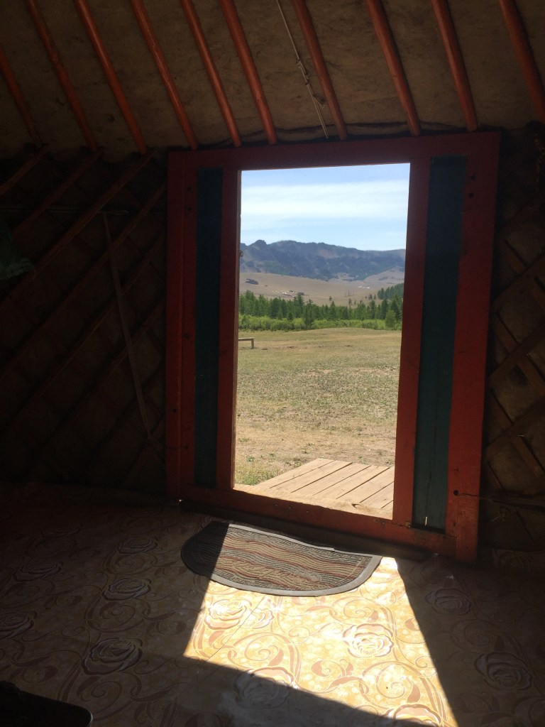View from inside Ger