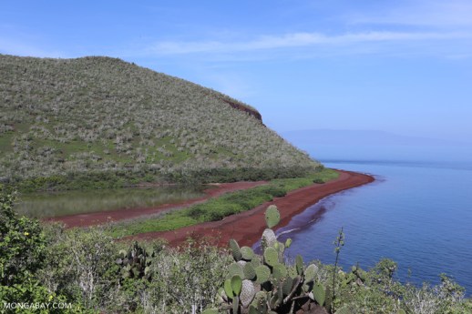 Red Sand Beach, Rabida Island.jpg